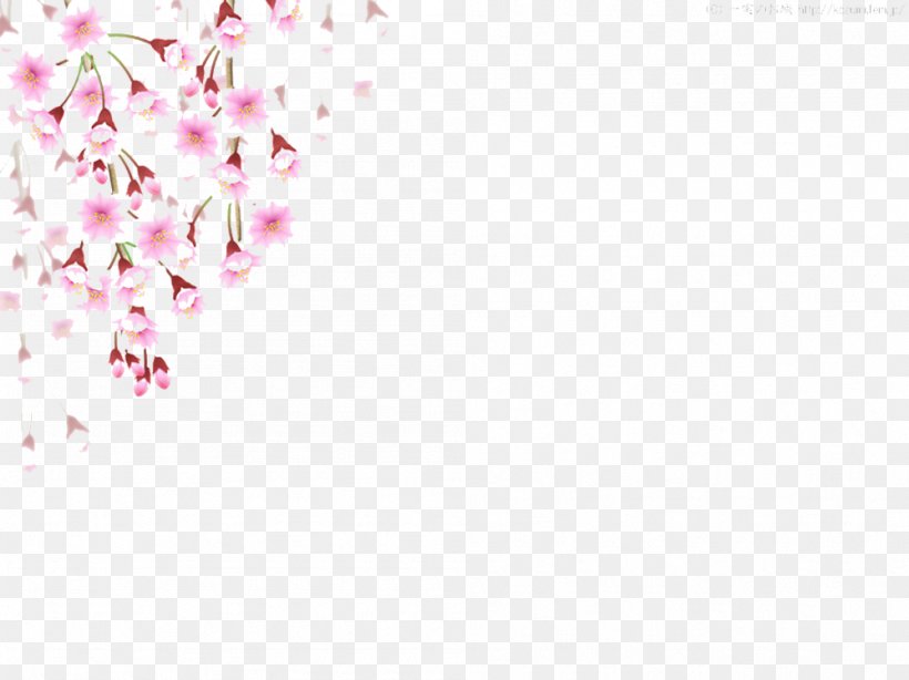 Cherry Blossom Flower, PNG, 999x749px, Cherry Blossom, Blossom, Cerasus, Cherry, Flower Download Free