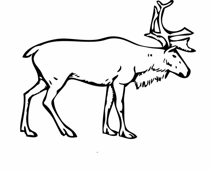 Finnish Forest Reindeer Porcupine Caribou Arctic Boreal Woodland Caribou, PNG, 940x759px, Deer, Animal, Animal Figure, Antler, Arctic Download Free