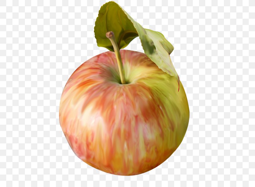 Food Drawing Vegetable Fruit, PNG, 600x600px, 3d Computer Graphics, Food, Apple, Cartoon, Drawing Download Free