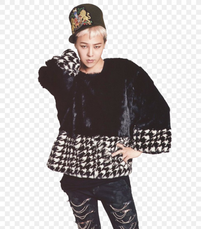 G-Dragon BIGBANG South Korea GD&TOP The Best Of Big Bang 2006-2014, PNG, 838x953px, Watercolor, Cartoon, Flower, Frame, Heart Download Free