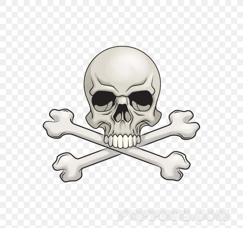 Skull Logo, PNG, 768x768px, Skull, Body Jewellery, Bone, Jewellery, Logo Download Free