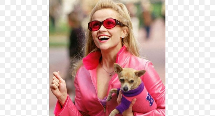Legally Blonde Elle Woods Reese Witherspoon Film Female, PNG, 790x444px, Watercolor, Cartoon, Flower, Frame, Heart Download Free