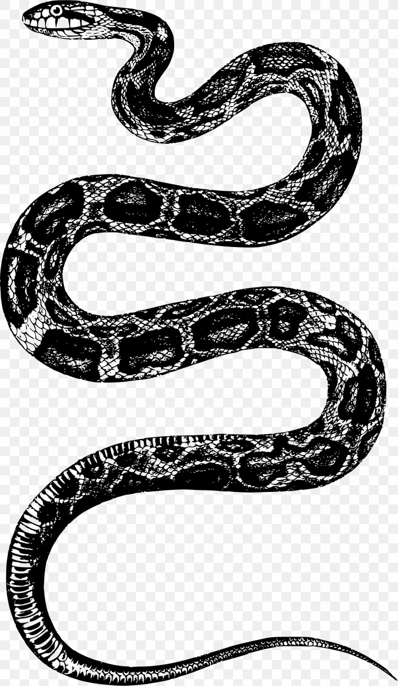 Rattlesnake Reptile Clip Art, PNG, 1391x2400px, Snake, Black And White, Black Rat Snake, Boa Constrictor, Boas Download Free
