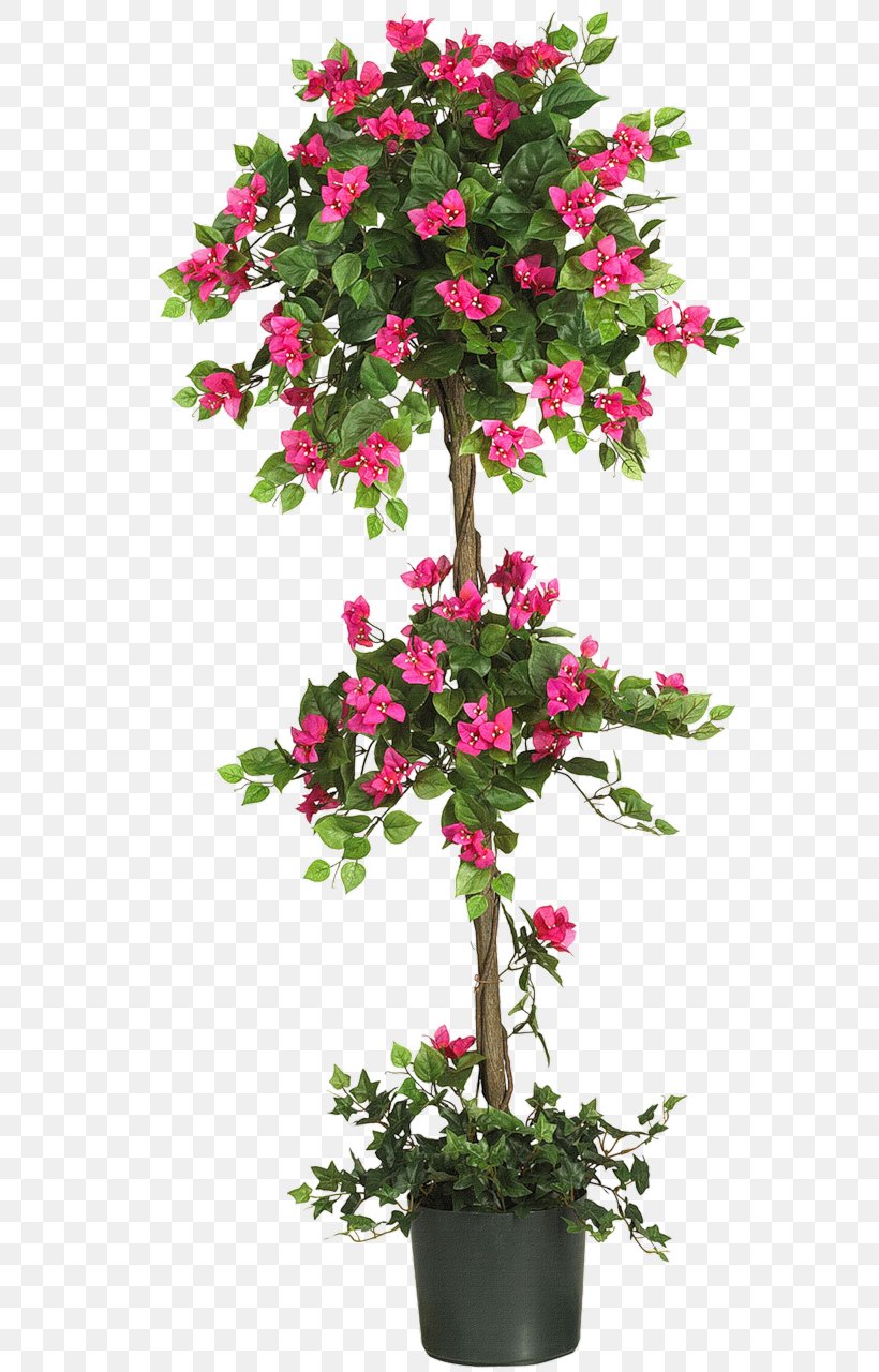Albizia Julibrissin Tree Bougainvillea Topiary Artificial Flower, PNG, 622x1280px, Albizia Julibrissin, Annual Plant, Arecaceae, Artificial Flower, Azalea Download Free