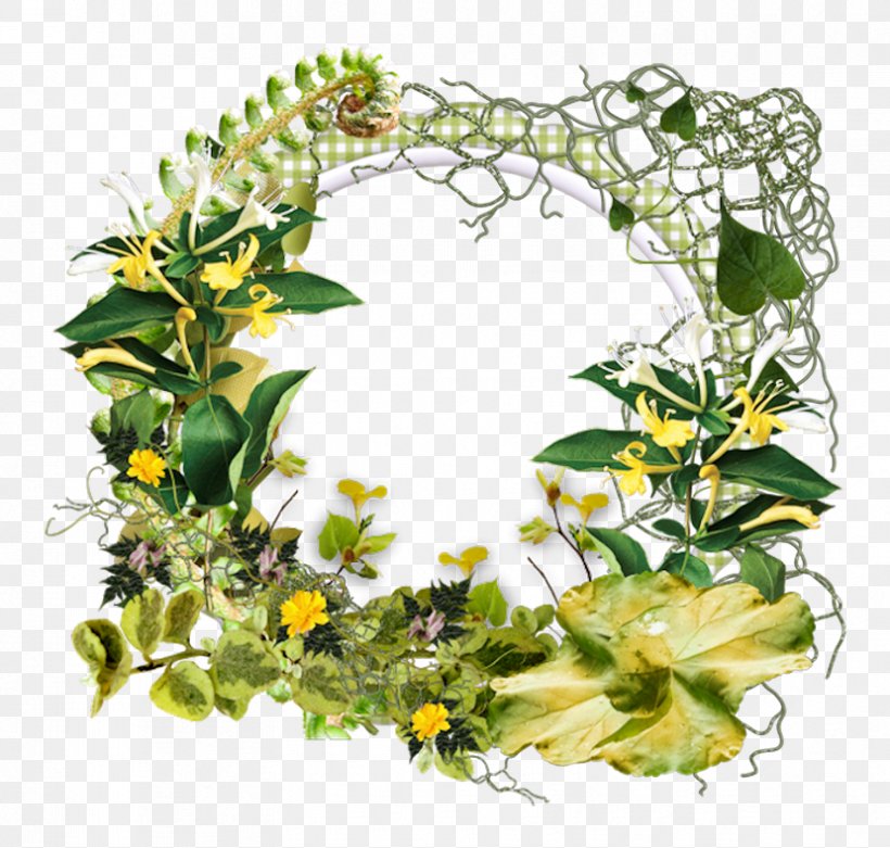 Floral Design .net Wreath, PNG, 829x790px, Floral Design, Adobe Systems, Branch, Cunt, Diploma Download Free