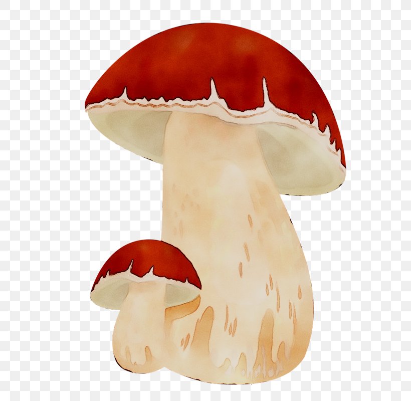 Mushroom Orange S.A., PNG, 651x800px, Mushroom, Agaric, Agaricomycetes, Animal Figure, Fungus Download Free