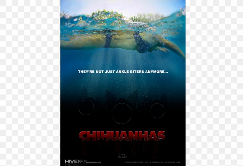 Poster Text Film Chihuahua Horror, PNG, 838x575px, Poster, Advertising, Brand, Chihuahua, Film Download Free