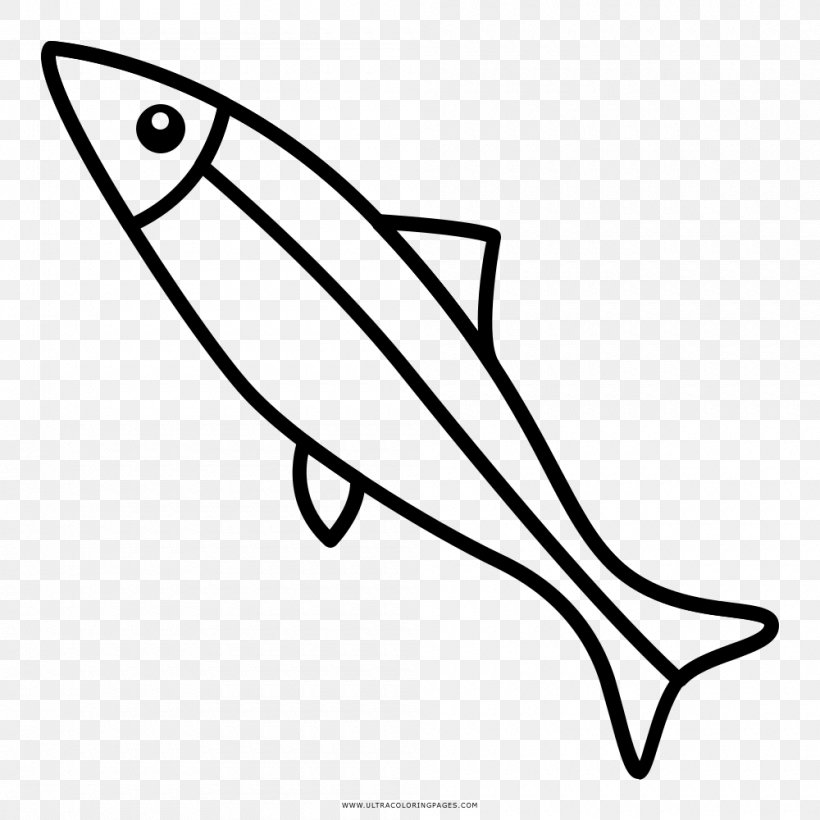 Sardine Drawing Coloring Book European Anchovy, PNG, 1000x1000px, Sardine, Anchovy, Ansjosfamilien, Area, Artwork Download Free