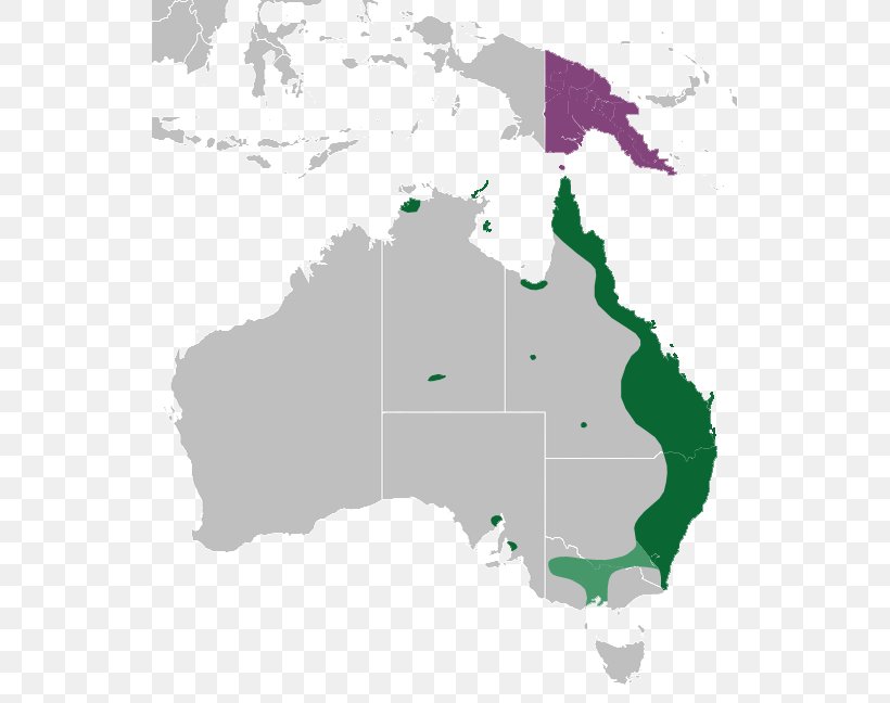 Australia World Map Road Map, PNG, 539x648px, Australia, Area, City Map, Country, Ecoregion Download Free