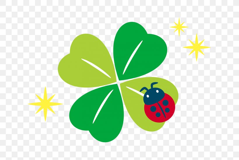 Four-leaf Clover ヘッドロココ Momoiro Clover Z Ladybird Beetle, PNG, 640x549px, Fourleaf Clover, Art, Grass, Green, Insect Download Free