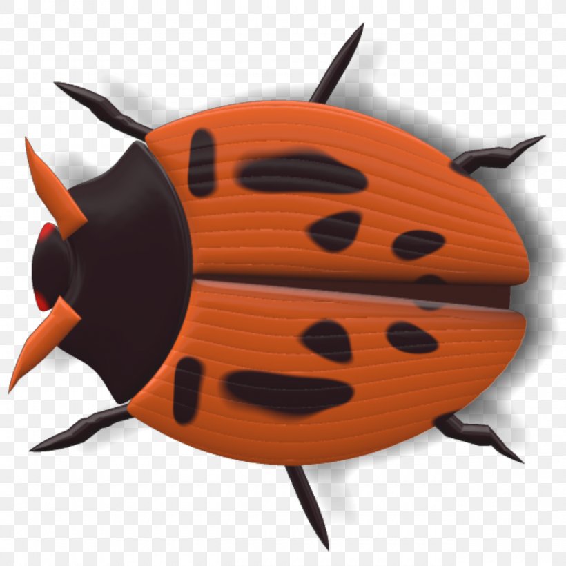 Ladybird Beetle Insect, PNG, 1280x1280px, Ladybird Beetle, Animal, Beetle, Biedronka, Google Images Download Free