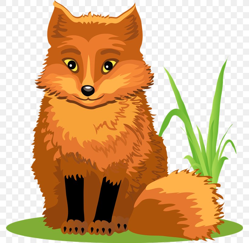 Red Fox Zorro Gray Wolf Drawing Clip Art, PNG, 780x800px, Red Fox, Animal, Basabizitza, Carnivoran, Cartoon Download Free