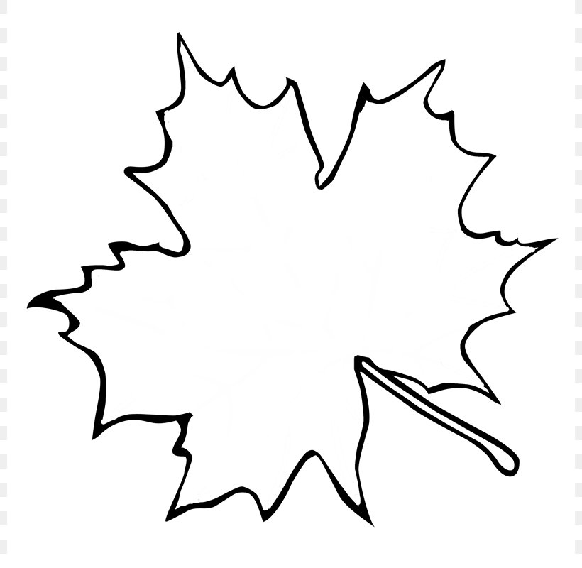 Sugar Maple Maple Leaf Outline Clip Art, PNG, 800x800px, Sugar Maple, Area, Artwork, Autumn Leaf Color, Black Download Free