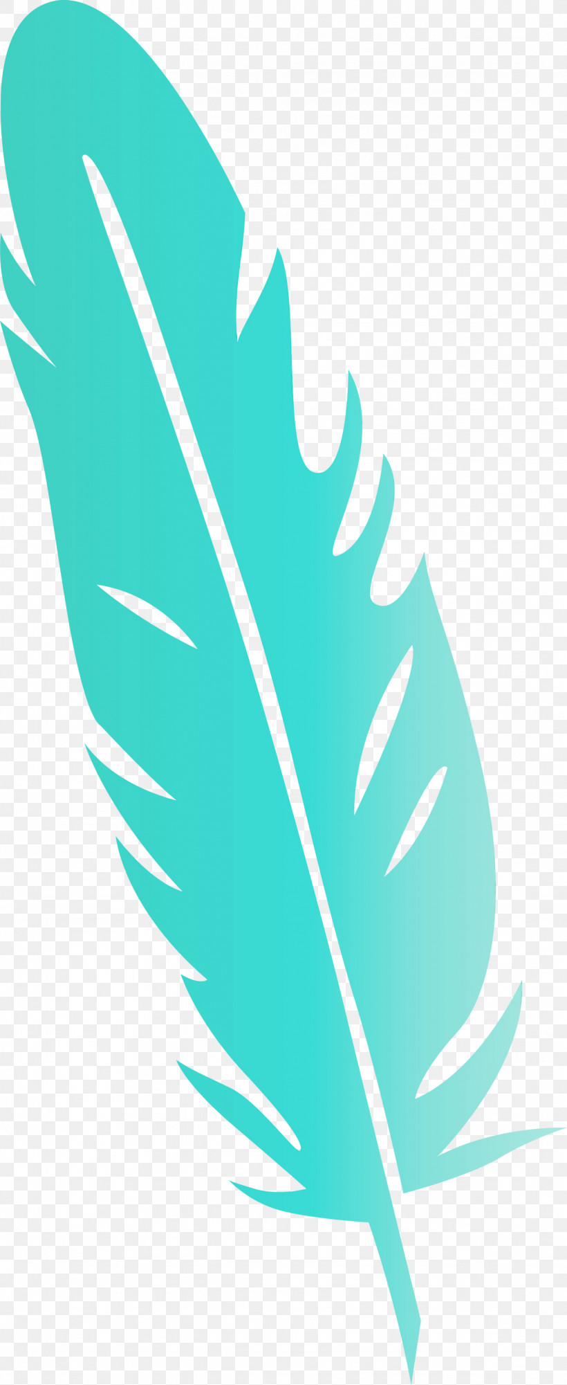 Leaf Green Quill Line Meter, PNG, 1229x3000px, Feather, Biology, Green, Leaf, Line Download Free