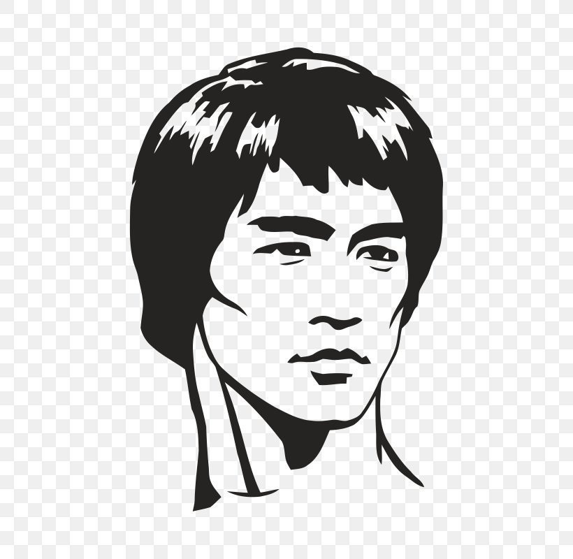 Dragon: The Bruce Lee Story Sticker Tao Of Jeet Kune Do Phonograph Record, PNG, 800x800px, Watercolor, Cartoon, Flower, Frame, Heart Download Free
