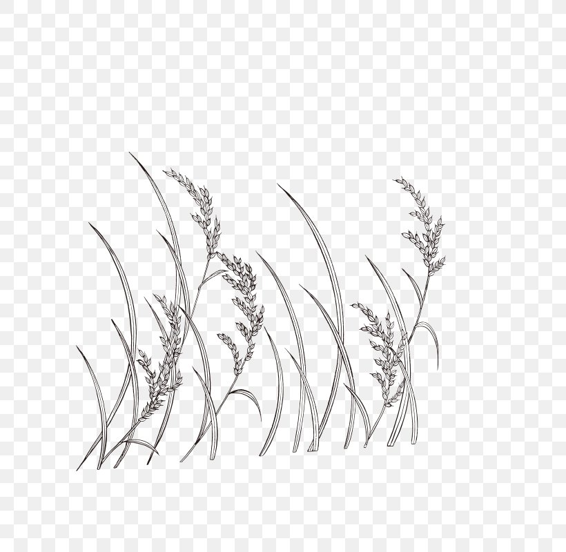 Line Art Wheat Monochrome Painting, PNG, 800x800px, Line Art, Architecture, Black And White, Branch, Cartoon Download Free