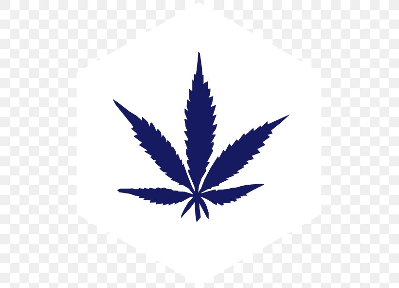 Medical Cannabis Cannabis Sativa Leafly Cannabis Smoking, PNG, 511x591px, 420 Day, Cannabis, Cannabis Advertising, Cannabis Sativa, Cannabis Smoking Download Free