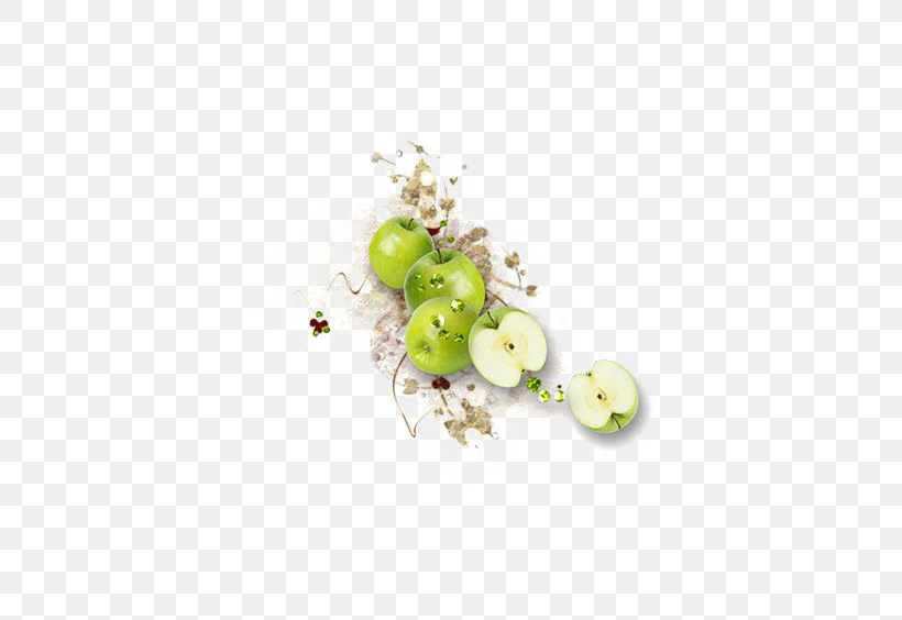 Apple Fruit Manzana Verde, PNG, 564x564px, Apple, Art, Creativity, Designer, Food Download Free
