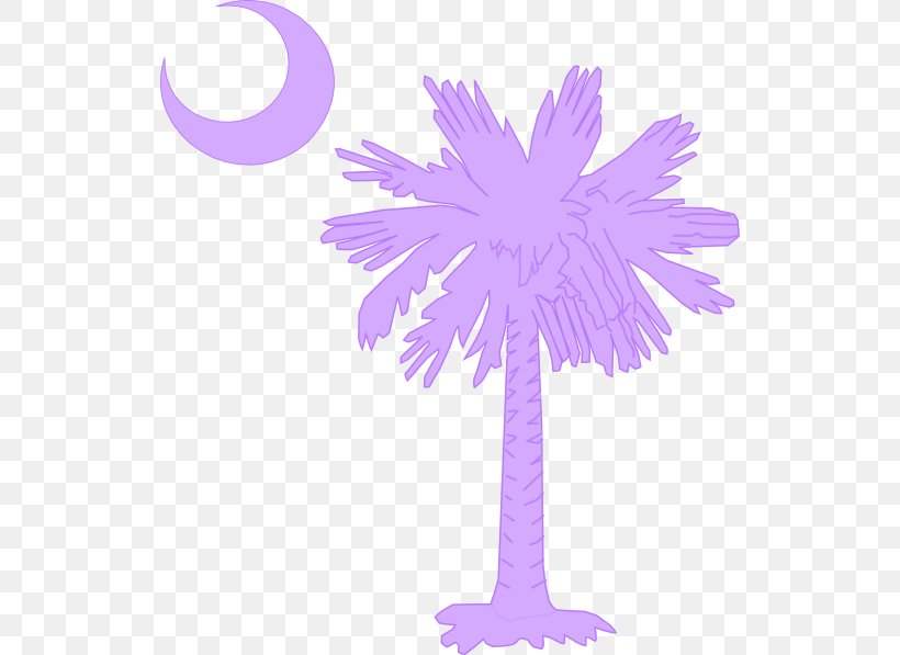 Flag Of South Carolina Sabal Palm Palm Trees Crescent, PNG, 528x597px, South Carolina, Crescent, Decal, Feather, Flag Of South Carolina Download Free