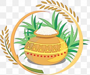 Cuisine Plant - Food Cartoon PNG