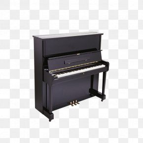 Piano - Grand Piano Musical Instrument PNG