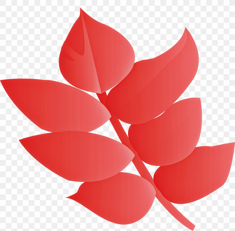 Red Petal Leaf Flower Plant, PNG, 3000x2959px, Red, Flower, Herbaceous Plant, Leaf, Petal Download Free