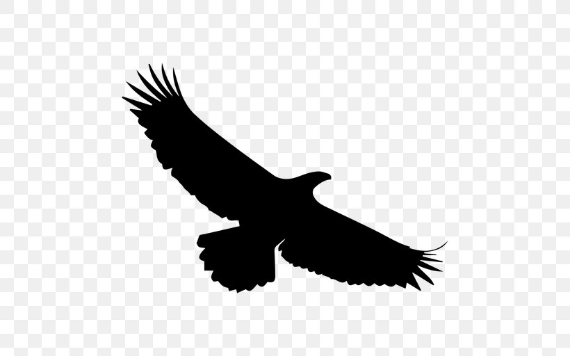 Bald Eagle Silhouette Bird, PNG, 512x512px, Bald Eagle, Accipitriformes, Beak, Bird, Bird Of Prey Download Free