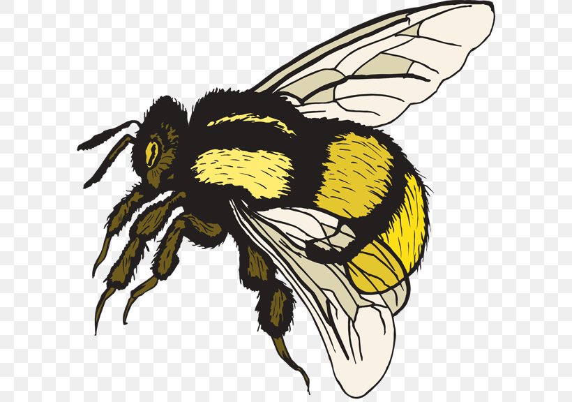 Bumblebee Clip Art, PNG, 600x576px, Bee, Arthropod, Artwork, Blog, Bumblebee Download Free