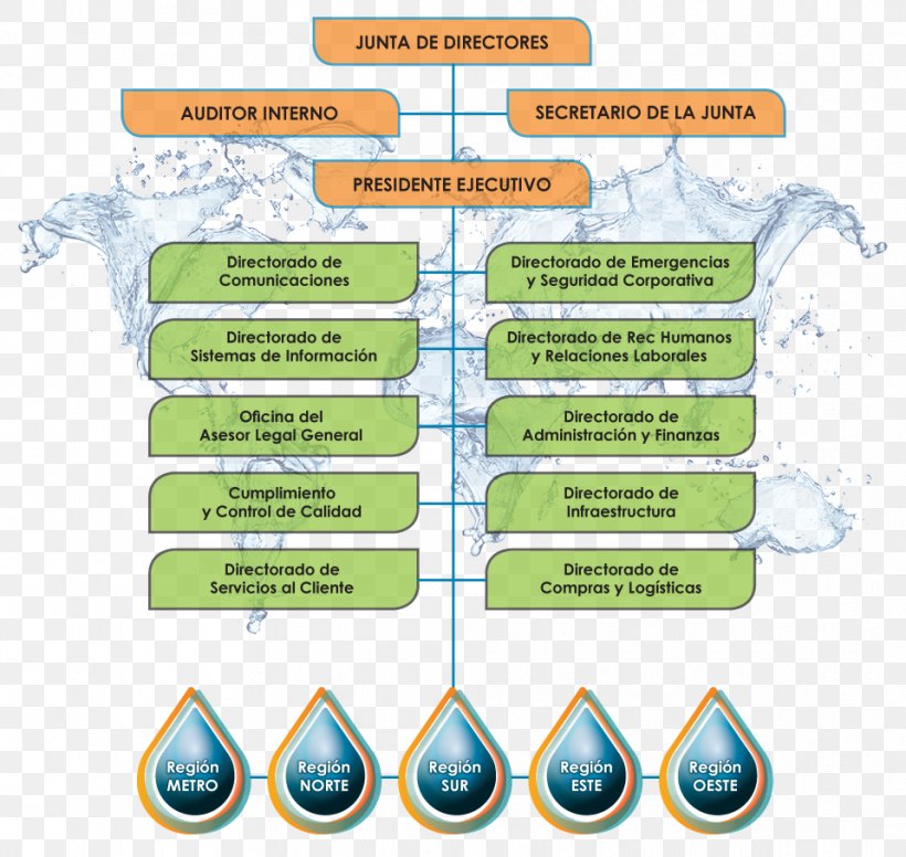 Puerto Rico Aqueducts And Sewers Authority Organizational Chart Empresa Puerto Rico Electric Power Authority, PNG, 959x908px, Puerto Rico, Aqueduct, Area, Authority, Communication Download Free