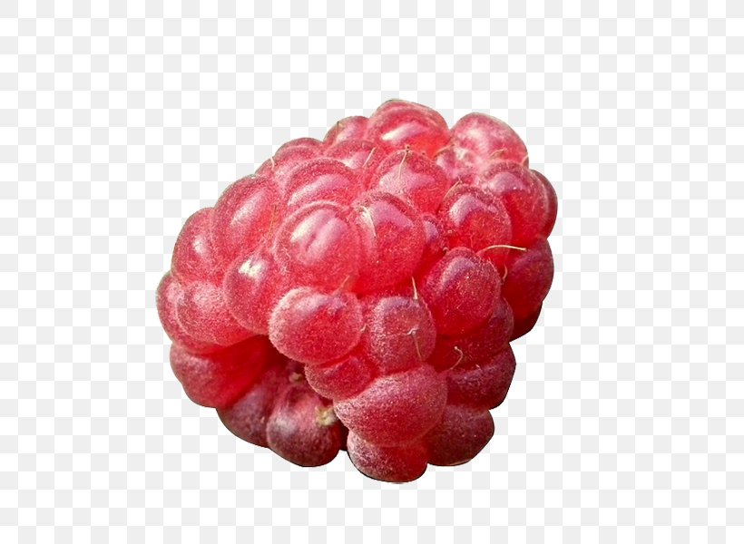 Red Raspberry Fruit Health, PNG, 600x600px, Raspberry, Accessory Fruit, Aggregate Fruit, Berry, Blackberry Download Free