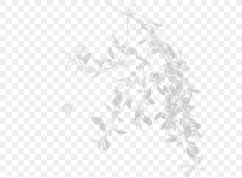Twig White Plant Stem Pattern, PNG, 576x602px, Twig, Black And White, Branch, Flora, Leaf Download Free