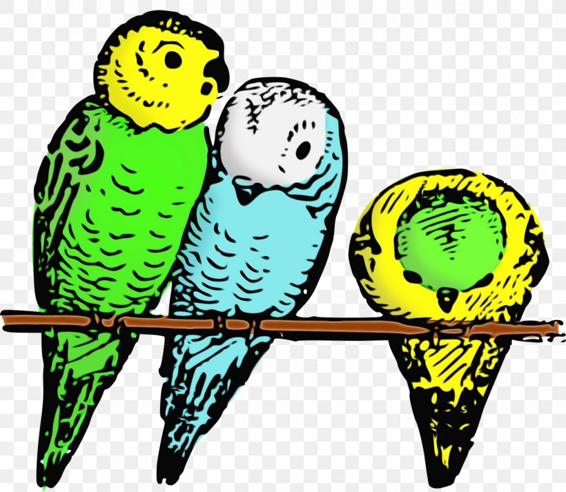 Bird Budgie Parakeet Parrot Beak, PNG, 1280x1114px, Watercolor, Beak, Bird, Budgie, Paint Download Free