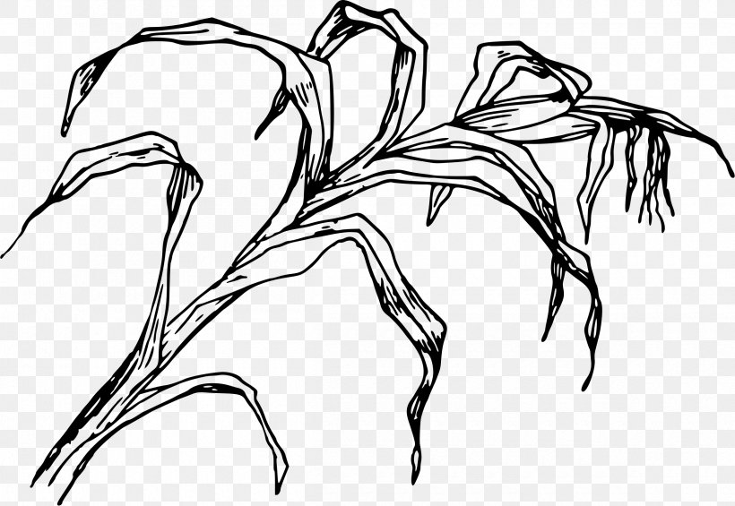 Drawing Line Art, PNG, 2400x1654px, Drawing, Art, Artwork, Black And White, Branch Download Free