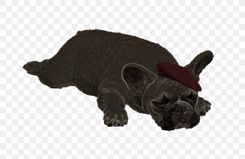 French Bulldog Puppy Dog Breed Non-sporting Group, PNG, 1504x979px, French Bulldog, American Kennel Club, Andiron, Breed, Breeder Download Free