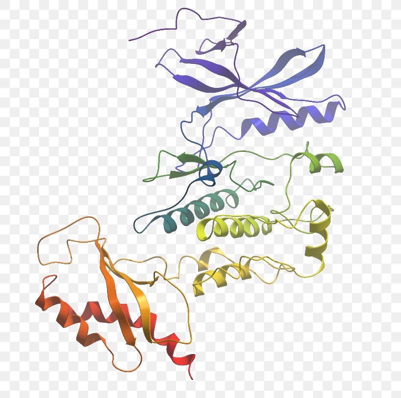 Illustration Clip Art Graphic Design WNK Lysine Deficient Protein Kinase 3, PNG, 815x815px, Enzyme, Amine Oxidase, Area, Art, Artwork Download Free