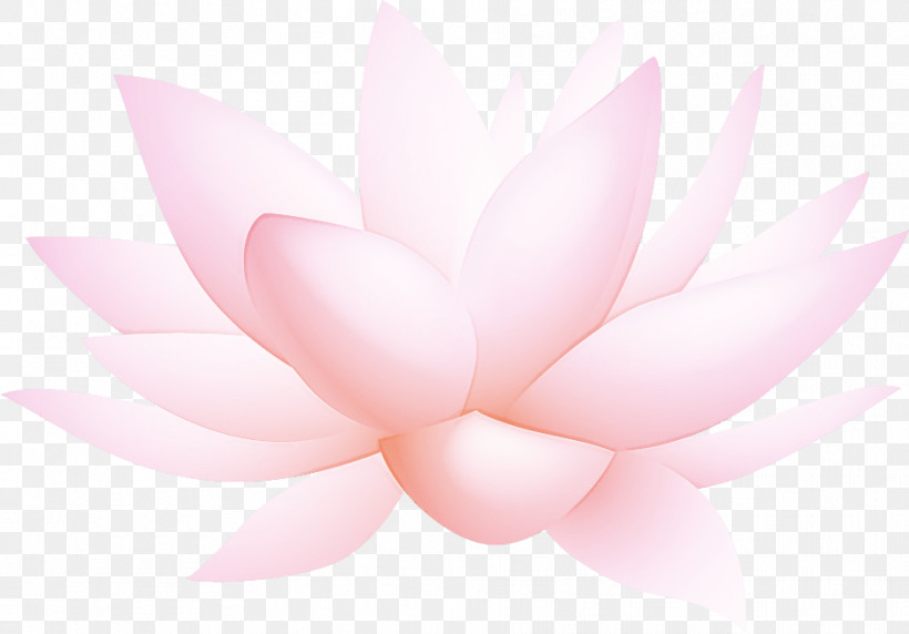 Lotus Flower, PNG, 936x654px, Lotus Flower, Computer, M, Petal, Pink M Download Free