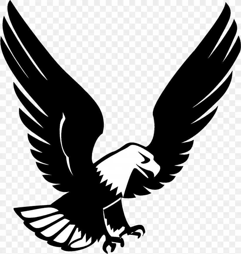 Bird Eagle Wing Golden Eagle Bird Of Prey, PNG, 3848x4047px, Bird, Beak, Bird Of Prey, Blackandwhite, Eagle Download Free