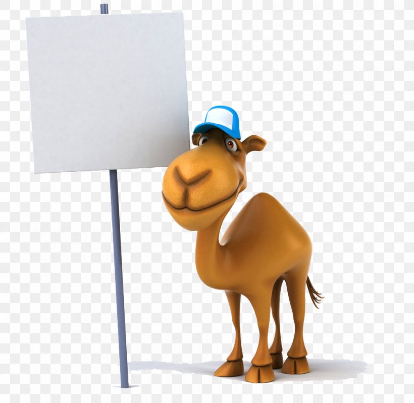 Camel Stock Photography Stock Illustration Royalty-free Clip Art, PNG, 1000x974px, Camel, Camel Like Mammal, Fotosearch, Livestock, Royaltyfree Download Free