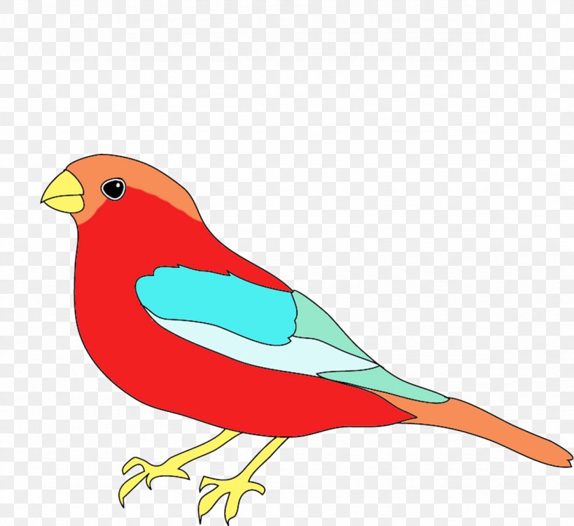 Drawing Birds Color Clip Art, PNG, 1181x1084px, Bird, Art, Beak, Bird Flight, Color Download Free