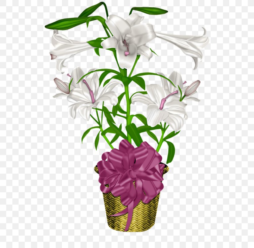 Flowerpot Floral Design Lilium, PNG, 552x800px, Flowerpot, Crock, Cut Flowers, Dendrobium, Floral Design Download Free