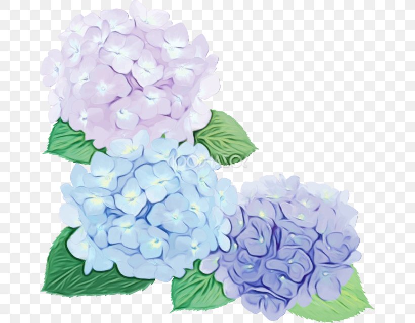 Hydrangea Cut Flowers Floral Design Flower Bouquet, PNG, 660x638px, Hydrangea, Bouquet, Common Lilac, Cornales, Cut Flowers Download Free
