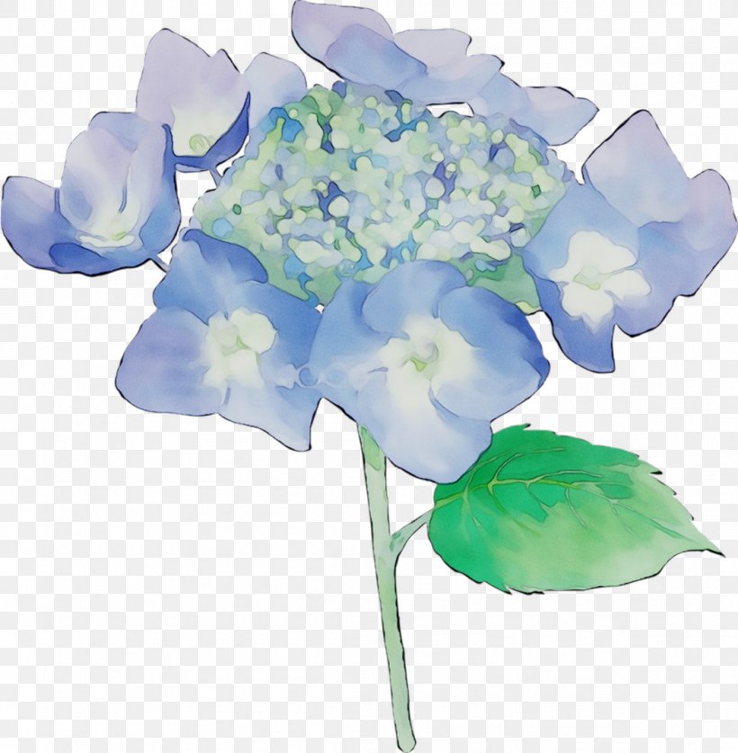 Hydrangea Cut Flowers Floral Design Plant Stem, PNG, 1053x1076px, Hydrangea, Artificial Flower, Blue, Bouquet, Cornales Download Free