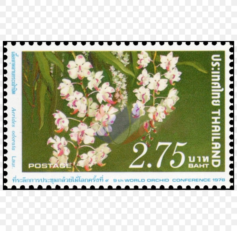 Postage Stamps Thailand Stock Photography Mail, PNG, 800x800px, Postage Stamps, Arts, Buddhism, Flora, Floral Design Download Free