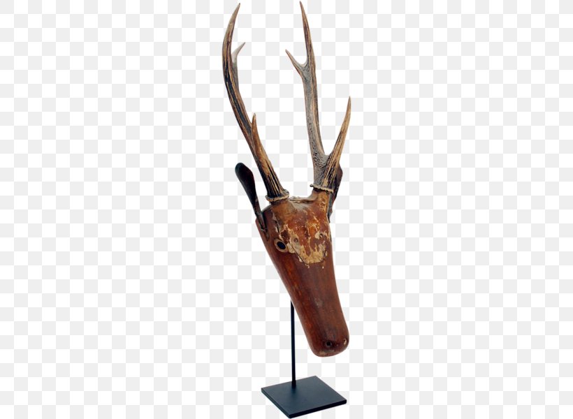 Reindeer Antler, PNG, 600x600px, Reindeer, Antler, Deer, Horn Download Free