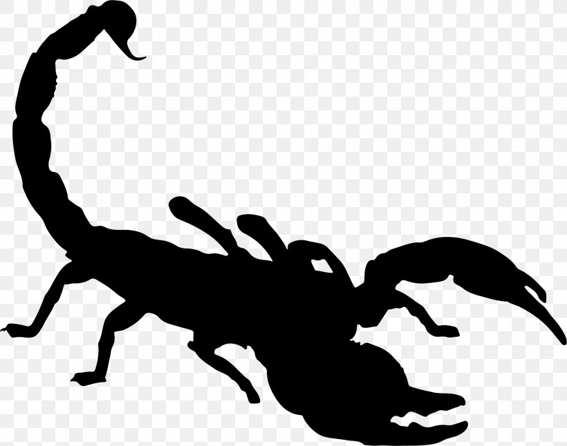 Scorpion Silhouette Clip Art, PNG, 2350x1854px, Scorpion, Black And White, Drawing, Invertebrate, Organism Download Free