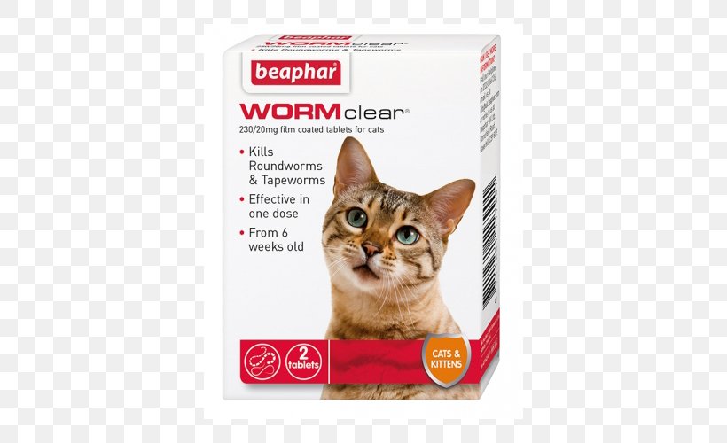 Cat Health Kitten Worm Dog, PNG, 500x500px, Cat, Carnivoran, Cat Health, Cat Like Mammal, Cat Supply Download Free