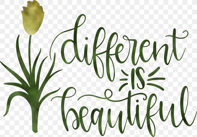Different Is Beautiful Womens Day, PNG, 3000x2085px, Womens Day, Biology, Cut Flowers, Floral Design, Flower Download Free