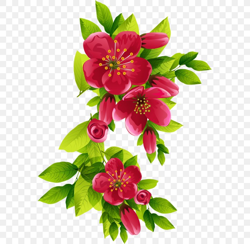 Flower Lilium Clip Art, PNG, 571x800px, Flower, Alstroemeriaceae, Annual Plant, Blossom, Cut Flowers Download Free