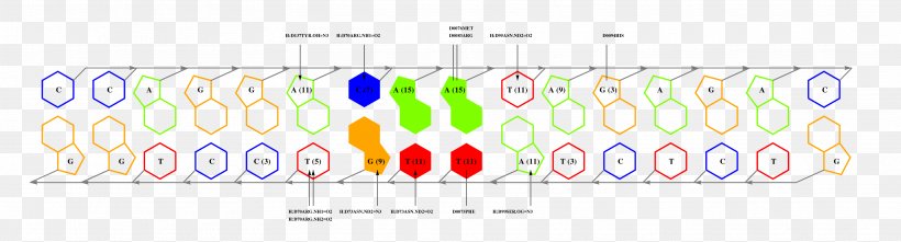 Graphic Design Line Point, PNG, 3542x958px, Point, Area, Diagram, Rectangle, Text Download Free