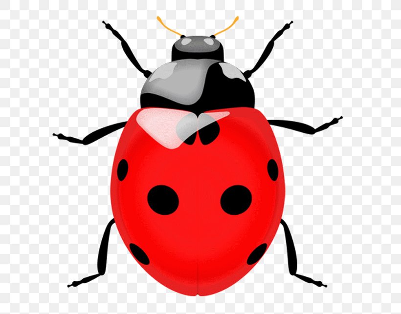 Ladybird Beetle Vector Graphics Clip Art Illustration, PNG, 689x643px, Beetle, Arthropod, Blister Beetles, Cartoon, Darkling Beetles Download Free